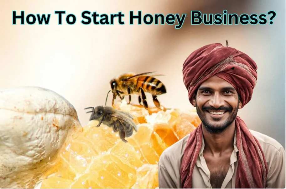 Best Honey Business Idea: Start with just Rs 2.35 lakh and earn Rs 13 lakh annually