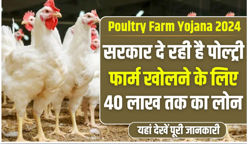 Poultry Farm Yojana 2024: Government is giving loan up to Rs 40 lakh to open poultry farm, see complete information here